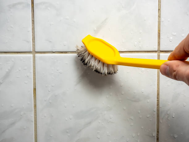 Best Black Mold Removal  in Franklinville, NC