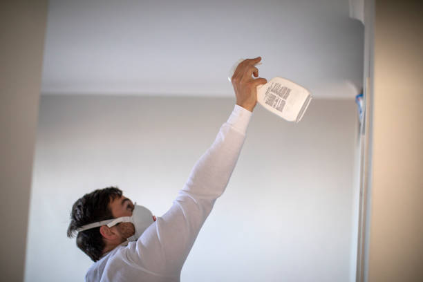 Best Attic Mold Removal  in Franklinville, NC