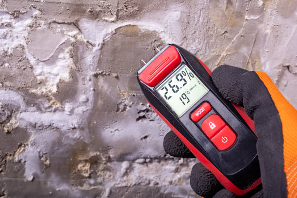 Best Mold Removal Near Me  in Franklinville, NC