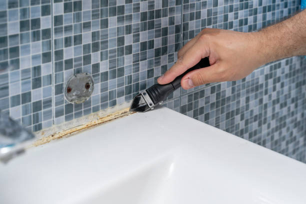 Mold Removal Process in Franklinville, NC